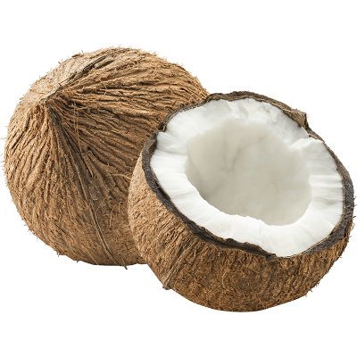 Cibus Dry Coconuts from Rotuma - Large (20 count)